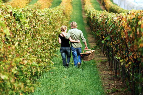 Goldfield Holiday Units - Darwin Holiday 33