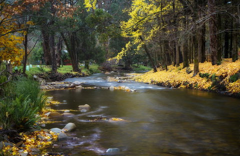 Goldfield Holiday Units - Darwin Holiday 0