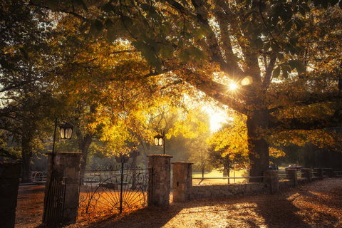 Goldfield Holiday Units - Darwin Holiday 20