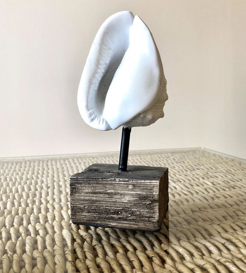 Sea Shells On Banyan Apartment - Darwin Holiday 9