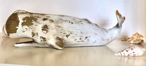 Sea Shells On Banyan Apartment - Darwin Holiday 4