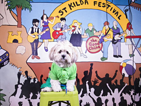 Habitat HQ - Darwin Holiday 13