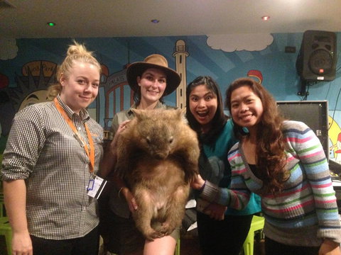 Habitat HQ - Darwin Holiday 19