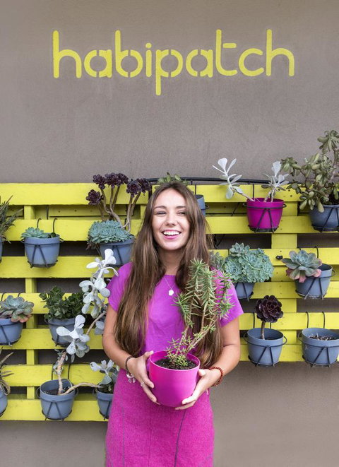 Habitat HQ - Darwin Holiday 21