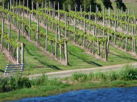 De\'Vine Escape - Darwin Holiday 13