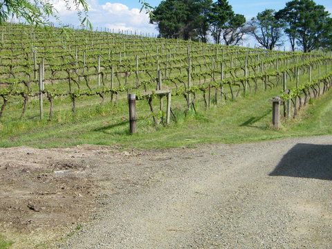 De\'Vine Escape - Darwin Holiday 23