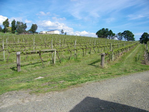 De\'Vine Escape - Darwin Holiday 30