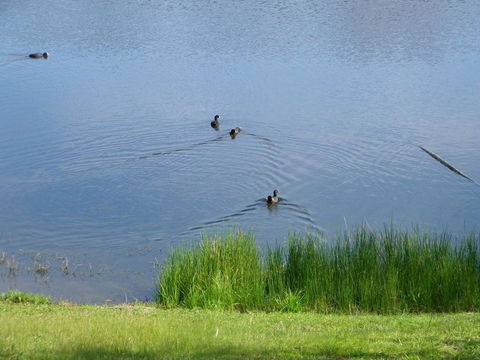 De\'Vine Escape - Darwin Holiday 19