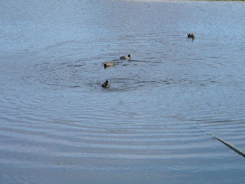 De\'Vine Escape - Darwin Holiday 21