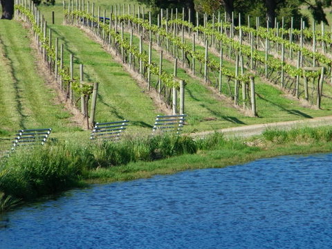 De\'Vine Escape - Darwin Holiday 29