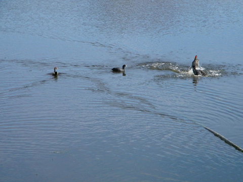 De\'Vine Escape - Darwin Holiday 20