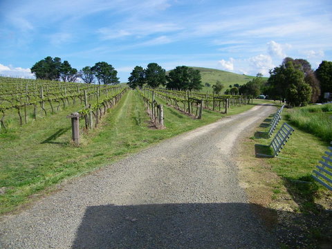 De\'Vine Escape - Darwin Holiday 24