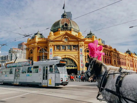 JC Waterfront Apartments On Collins - Darwin Holiday 25