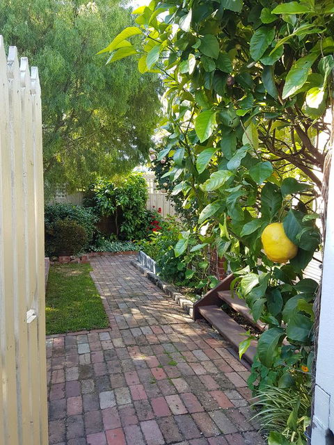 Healesville House - Fig Tree House - Darwin Holiday 17