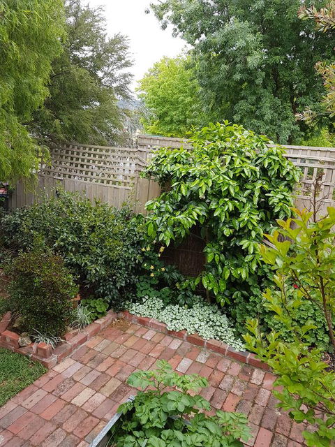 Healesville House - Fig Tree House - Darwin Holiday 21