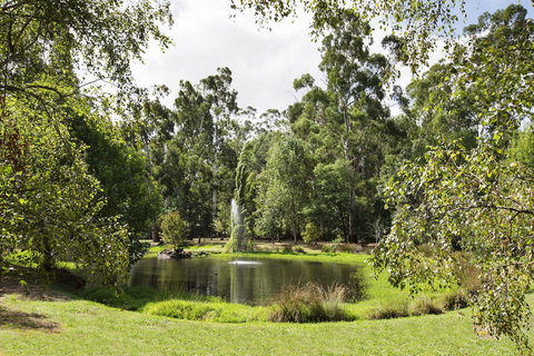 Nightcap At York On Lilydale - Darwin Holiday 34