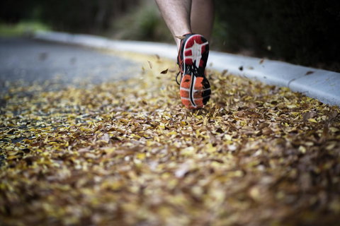 Yarra Valley Lodge - Darwin Holiday 1