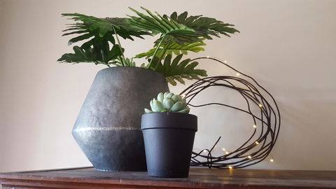 Boutique Heritage Studios On Ryrie Geelong CBD Opposite Hospital - Darwin Holiday 15