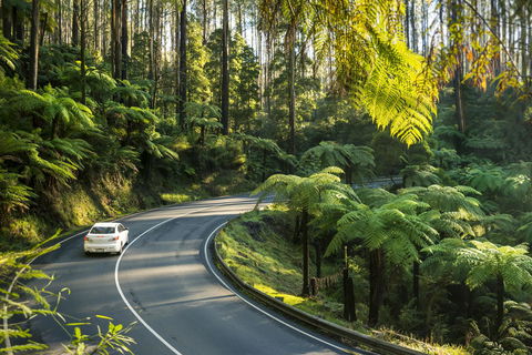 Lithgow Falls Marysville - Darwin Holiday 15