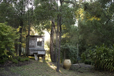 Botanica Editions - Darwin Holiday 31