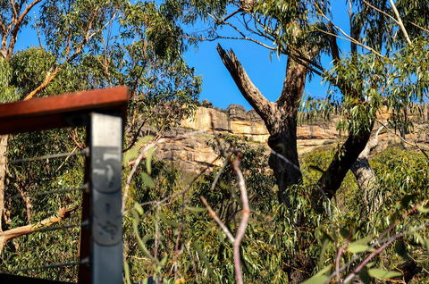 Blue Ridge Retreat - Darwin Holiday 14