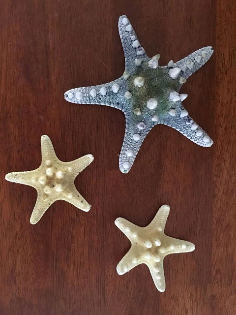 Ocean View Beach House - Darwin Holiday 2