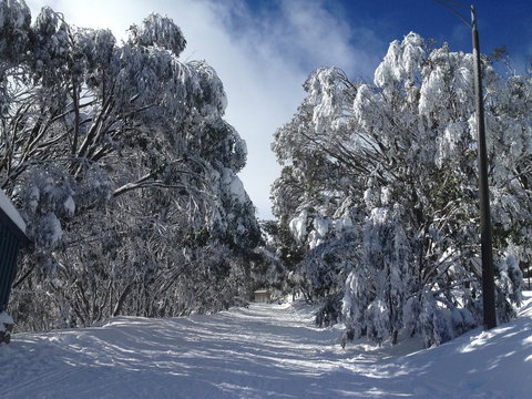 Maisonettes Falls Creek - Darwin Holiday 17