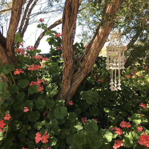 The Fingal Farm - Darwin Holiday 27