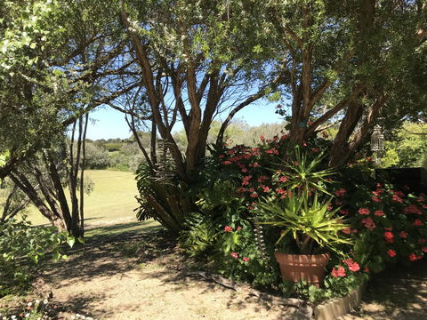 The Fingal Farm - Darwin Holiday 9