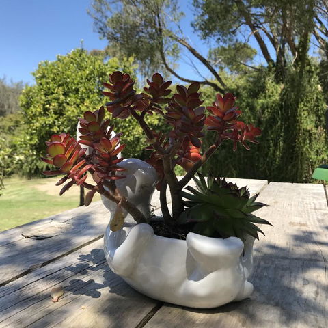 The Fingal Farm - Darwin Holiday 30