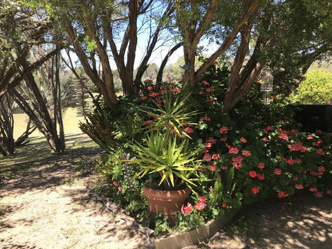 The Fingal Farm - Darwin Holiday 33