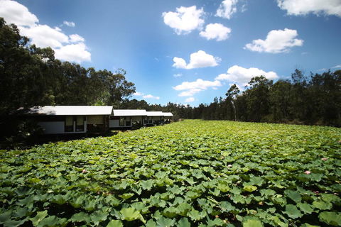 The Boathouses At Leaves & Fishes - Darwin Holiday 0