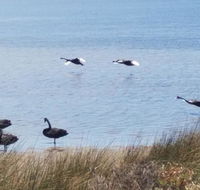 The DOLPHIN PLACE - Darwin Holiday