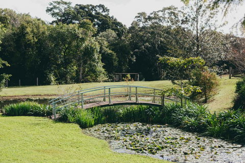 The Eumundi Dairy - Darwin Holiday 0