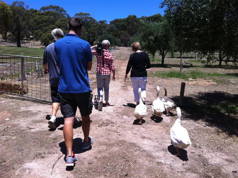 The Farm Willunga - Darwin Holiday 1