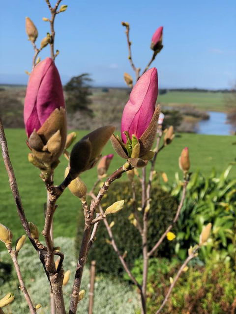 The Granary - Darwin Holiday 3