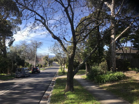 The Greenhouse - Darwin Holiday 1