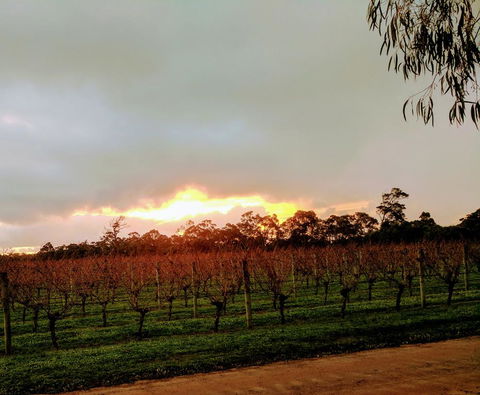 The Grove Distillery & Brewery - Darwin Holiday 2