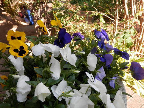 The Hideaway Luxury B&B Retreat - Darwin Holiday 1