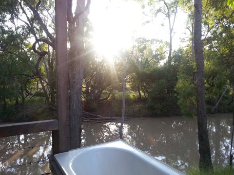 The Laurels Of Chinchilla - Darwin Holiday 0