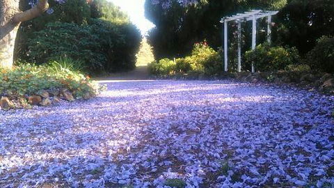 The Old Church Bed And Breakfast - Darwin Holiday 2