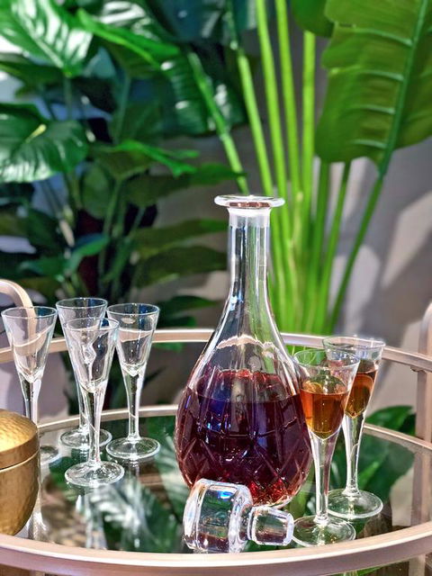 The Orange Fox - Darwin Holiday 3