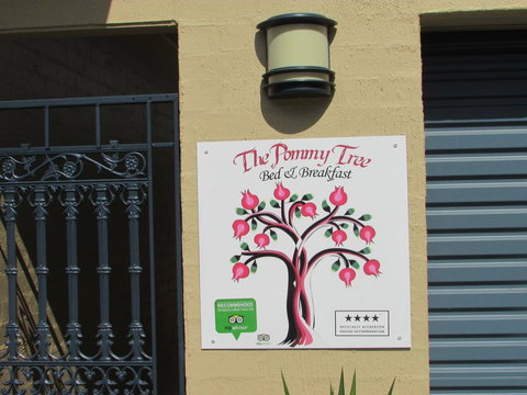 The Pommy Tree - Darwin Holiday 1
