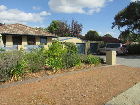 The Pommy Tree - Darwin Holiday 2