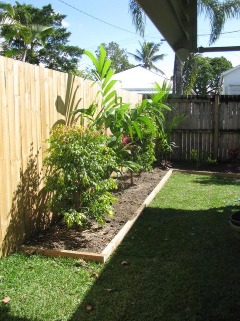 The Red Sparrow - Darwin Holiday 3