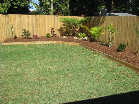 The Red Sparrow - Darwin Holiday 2