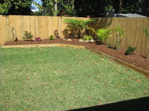 The Red Sparrow - Darwin Holiday 2