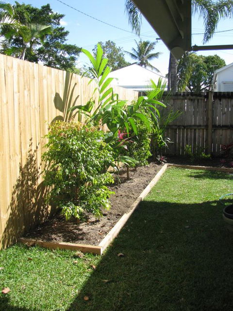 The Red Sparrow - Darwin Holiday 3