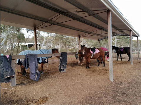 The Saddle Camp Tiny House, Braidwood - Darwin Holiday 1
