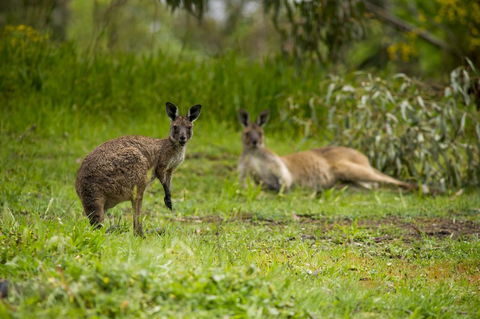 The Stirling Golf Club - Darwin Holiday 2